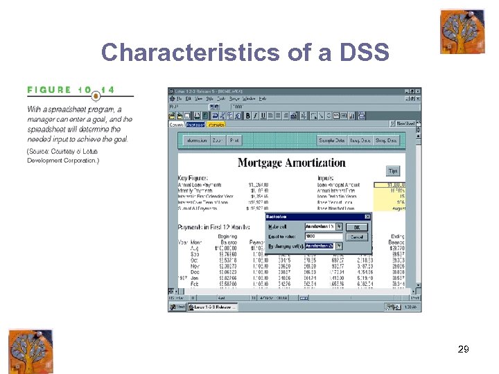 Characteristics of a DSS 29 