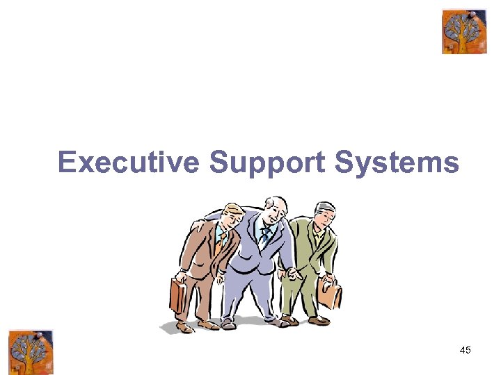 Executive Support Systems 45 