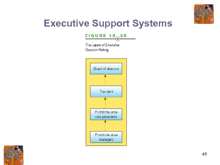 Executive Support Systems 46 