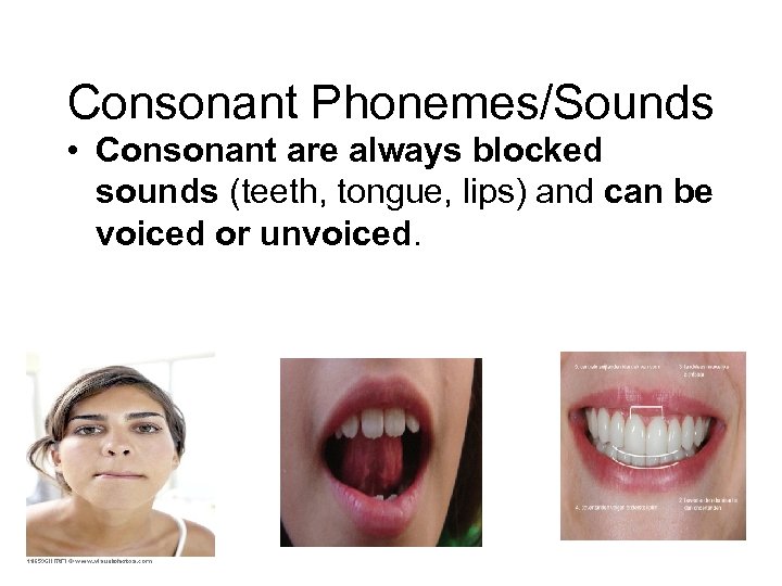 Consonant Phonemes/Sounds • Consonant are always blocked sounds (teeth, tongue, lips) and can be