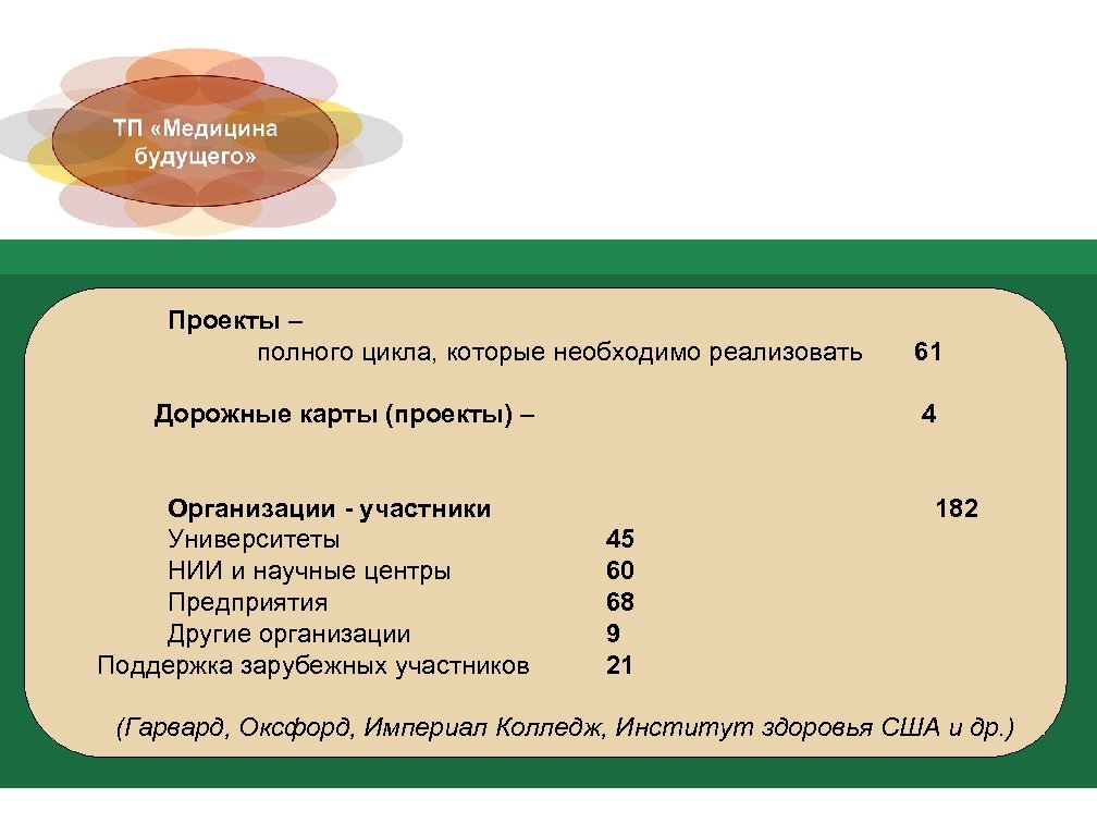 Проекты – полного цикла, которые необходимо реализовать 61 Дорожные карты (проекты) – 4 Огородова