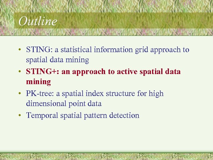 Outline • STING: a statistical information grid approach to spatial data mining • STING+: