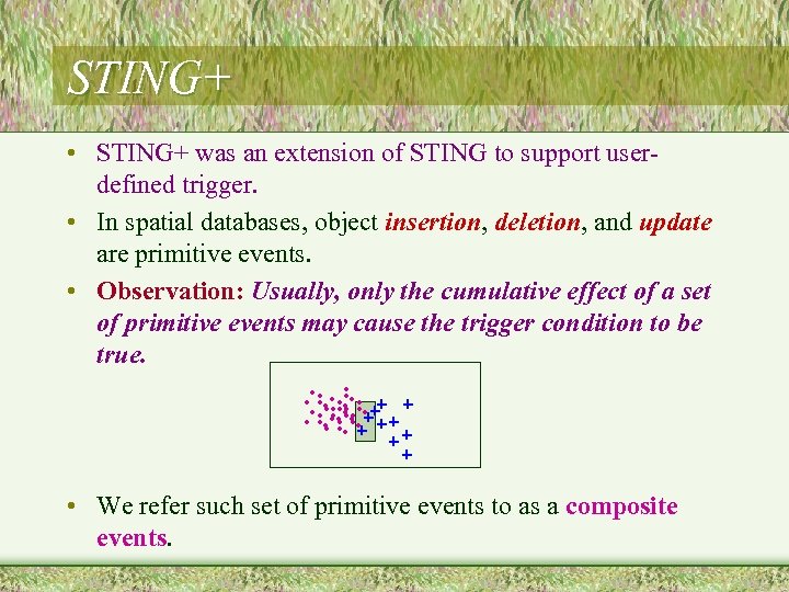 STING+ • STING+ was an extension of STING to support userdefined trigger. • In