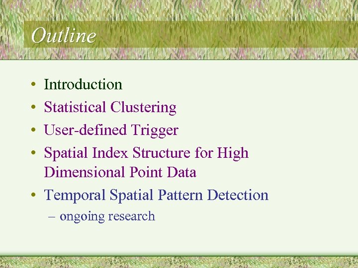 Outline • • Introduction Statistical Clustering User-defined Trigger Spatial Index Structure for High Dimensional
