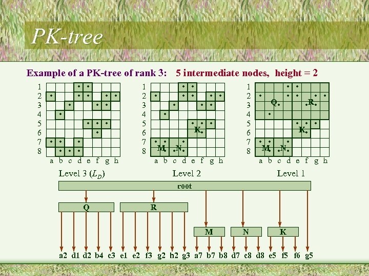 PK-tree Example of a PK-tree of rank 3: 5 intermediate nodes, height = 2