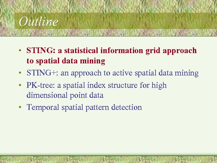 Outline • STING: a statistical information grid approach to spatial data mining • STING+: