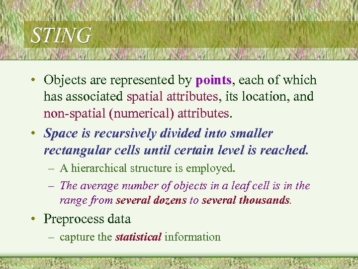 STING • Objects are represented by points, each of which has associated spatial attributes,