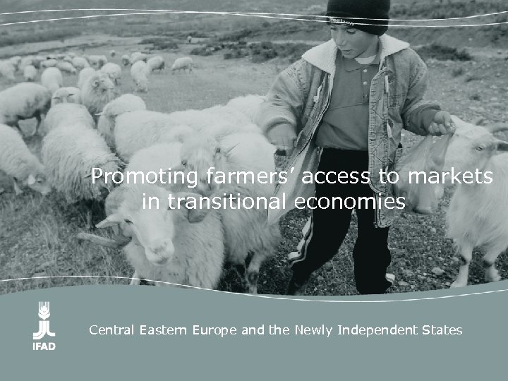 Promoting farmers’ access to markets in transitional economies Central Eastern Europe and the Newly