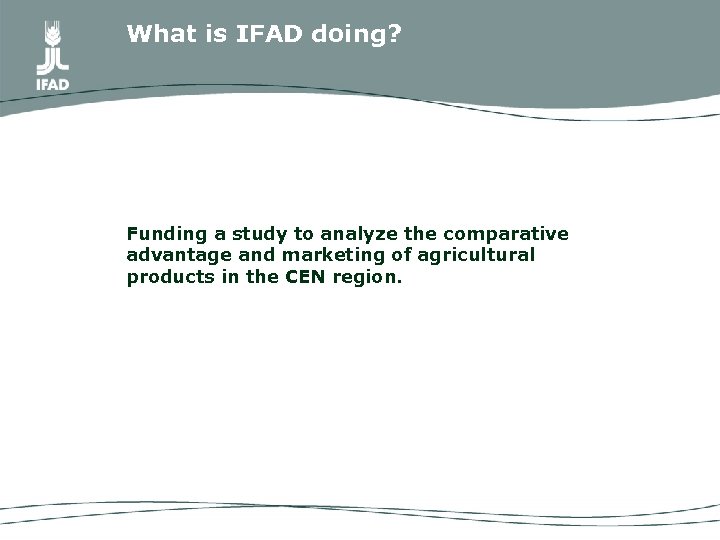 What is IFAD doing? Funding a study to analyze the comparative advantage and marketing
