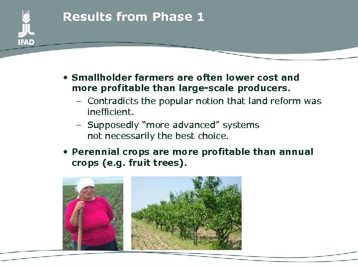 Results from Phase 1 • Smallholder farmers are often lower cost and more profitable
