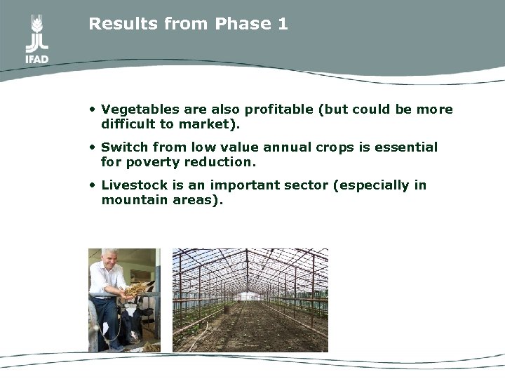 Results from Phase 1 • Vegetables are also profitable (but could be more difficult