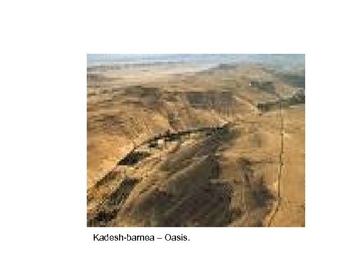 Kadesh-barnea – Oasis. 