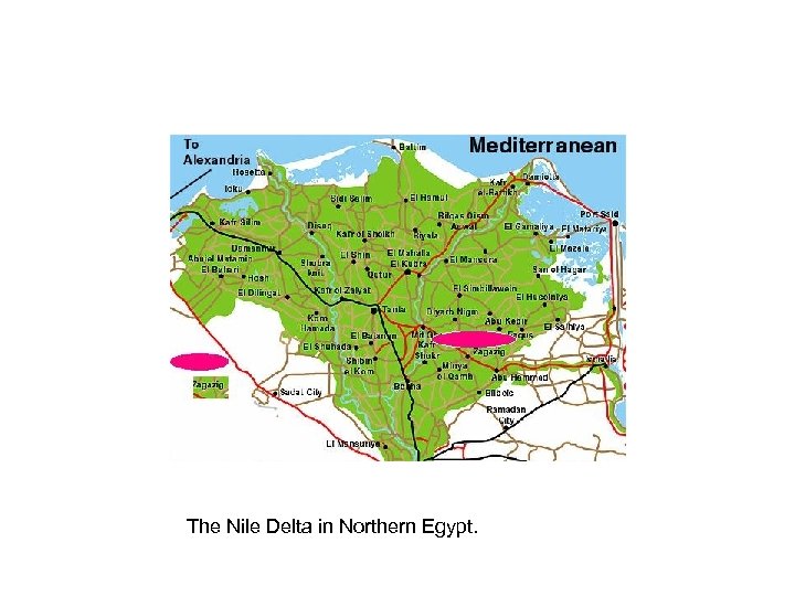 The Nile Delta in Northern Egypt. 