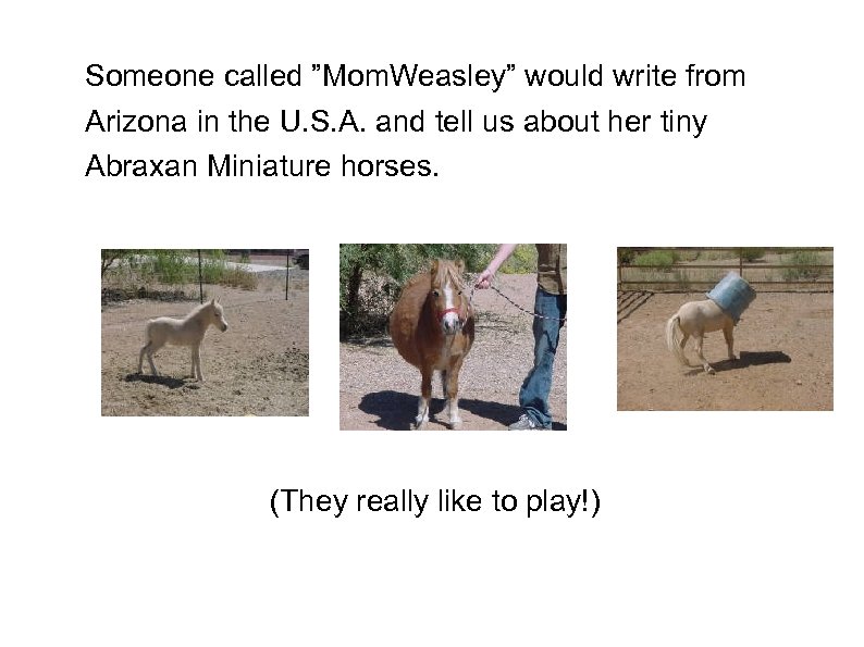 Someone called ”Mom. Weasley” would write from Arizona in the U. S. A. and