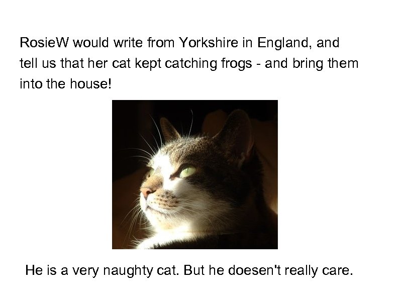 Rosie. W would write from Yorkshire in England, and tell us that her cat