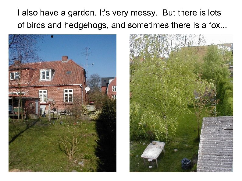 I also have a garden. It's very messy. But there is lots of birds