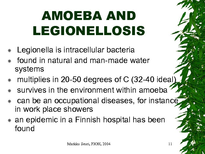 AMOEBA AND LEGIONELLOSIS Legionella is intracellular bacteria found in natural and man-made water systems
