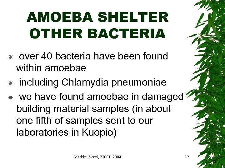 AMOEBA SHELTER OTHER BACTERIA over 40 bacteria have been found within amoebae including Chlamydia