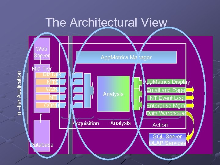 The Architectural View n –tier Application Web Server App. Metrics Manager Mid Tier Biz.
