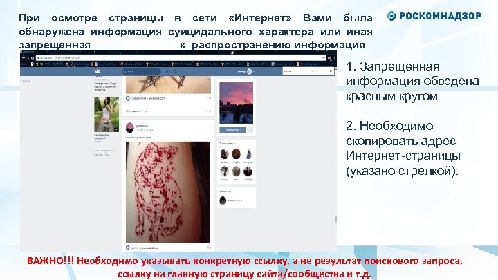 При осмотре страницы в сети «Интернет» Вами была обнаружена информация суицидального характера или иная