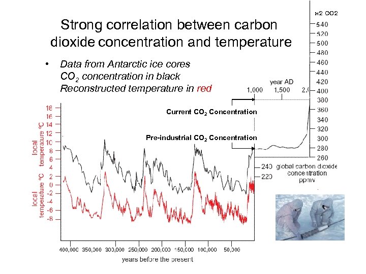 Strong correlation between carbon dioxide concentration and temperature • Data from Antarctic ice cores