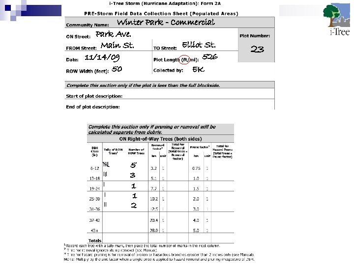 Winter Park - Commercial Park Ave. Elliot St. Main St. 526 11/14/09 50 EK