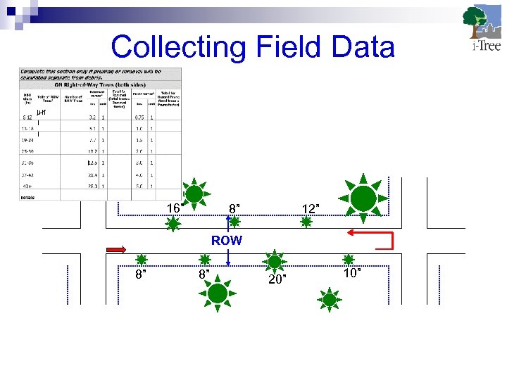 Collecting Field Data 16” 8” 12” ROW 8” 8” 20” 10” 