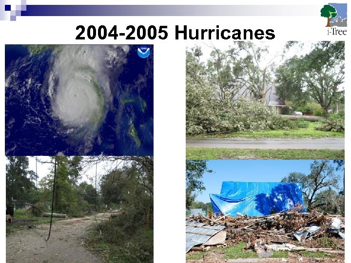 2004 -2005 Hurricanes 