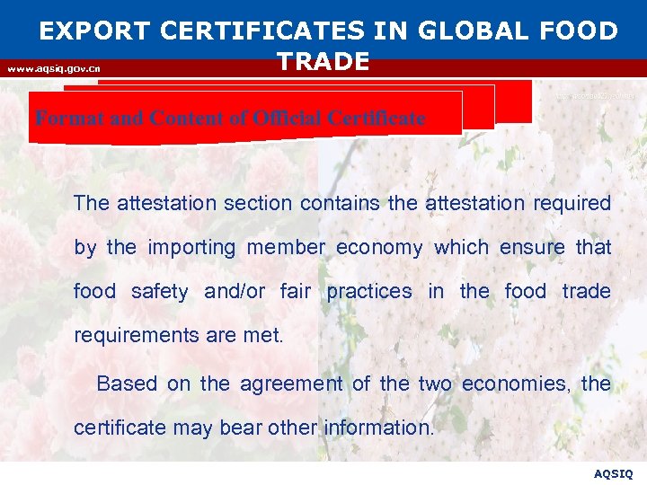 EXPORT CERTIFICATES IN GLOBAL FOOD TRADE www. aqsiq. gov. cn Format and Content of