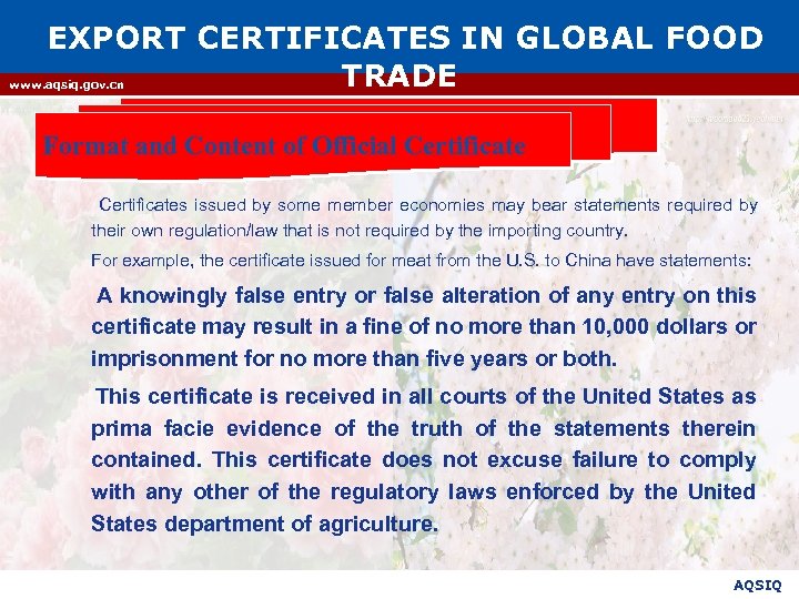 EXPORT CERTIFICATES IN GLOBAL FOOD TRADE www. aqsiq. gov. cn Format and Content of