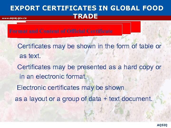 EXPORT CERTIFICATES IN GLOBAL FOOD TRADE www. aqsiq. gov. cn Format and Content of