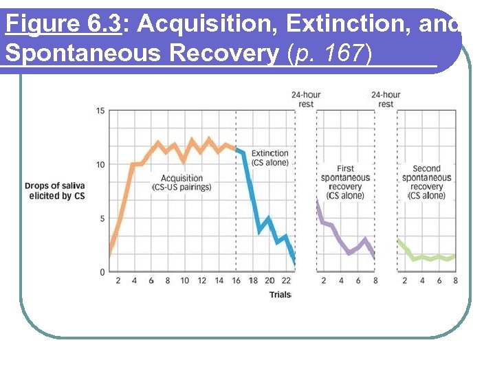 Figure 6. 3: Acquisition, Extinction, and Spontaneous Recovery (p. 167) 