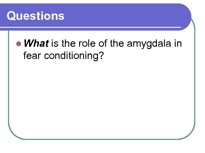 Questions l What is the role of the amygdala in fear conditioning? 