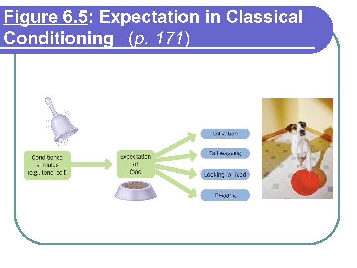 Figure 6. 5: Expectation in Classical Conditioning (p. 171) 