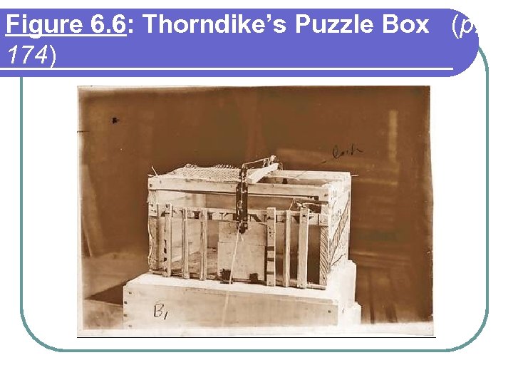 Figure 6. 6: Thorndike’s Puzzle Box (p. 174) 