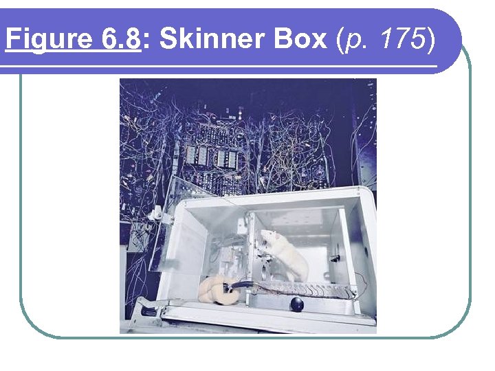 Figure 6. 8: Skinner Box (p. 175) 