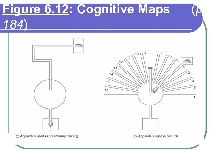 Figure 6. 12: Cognitive Maps 184) (p. 