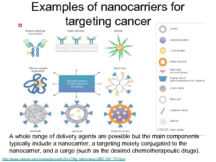 Examples of nanocarriers for targeting cancer A whole range of delivery agents are possible