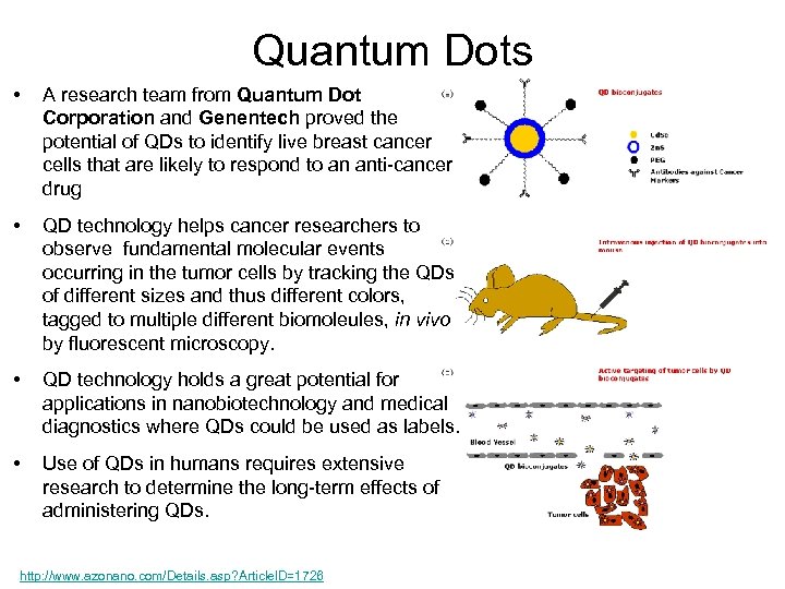 Quantum Dots • A research team from Quantum Dot Corporation and Genentech proved the
