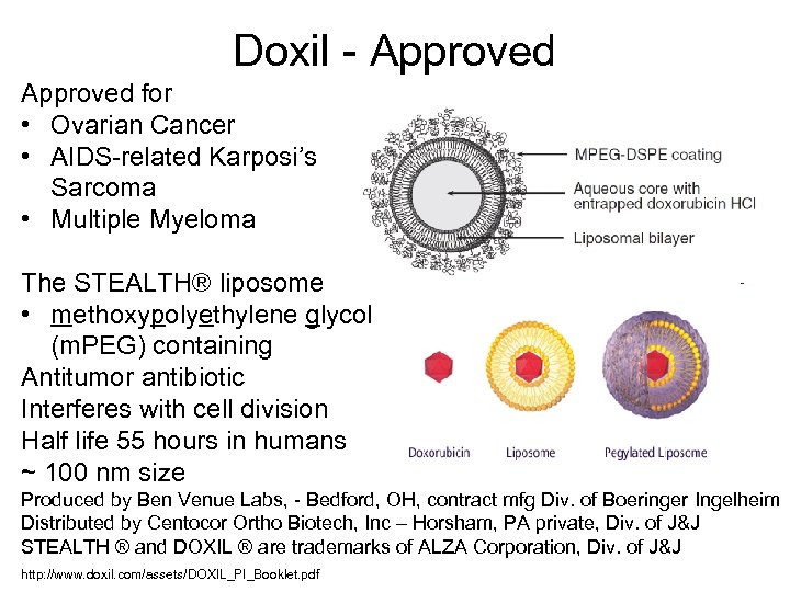 Doxil - Approved for • Ovarian Cancer • AIDS-related Karposi’s Sarcoma • Multiple Myeloma