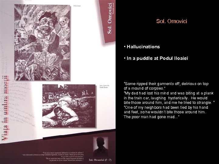 Sol. Omovici • Hallucinations • In a puddle at Podul Iloaiei “Some ripped their