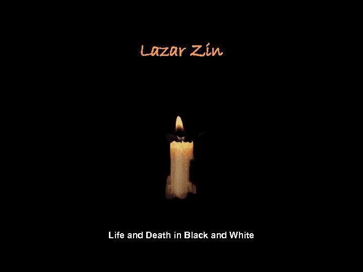Lazar Zin Life and Death in Black and White 