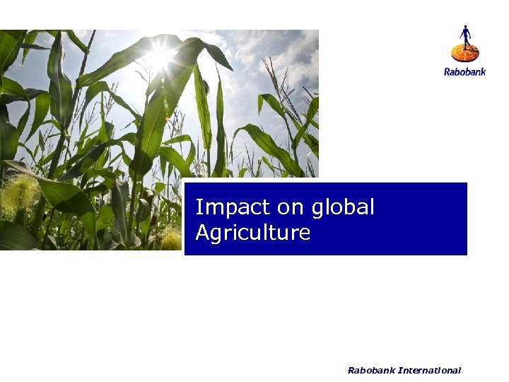 Impact on global Agriculture Rabobank International 