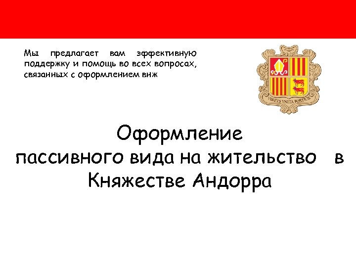Мы предлагает вам эффективную поддержку и помощь во всех вопросах, связанных с оформлением внж