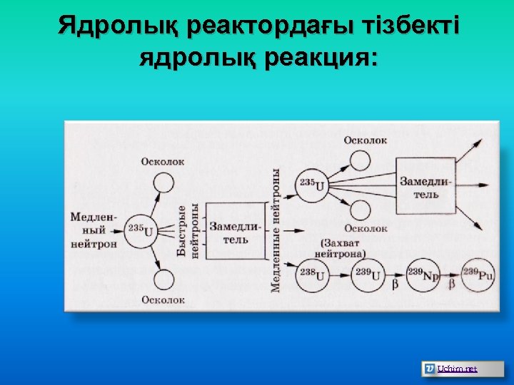 Ядролық реактордағы тізбекті ядролық реакция: Uchim. net 