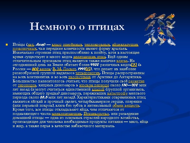 Немного о птицах n Пти цы (лат. Aves) — класс оперённых, теплокровных, яйцекладущих позвоночных,