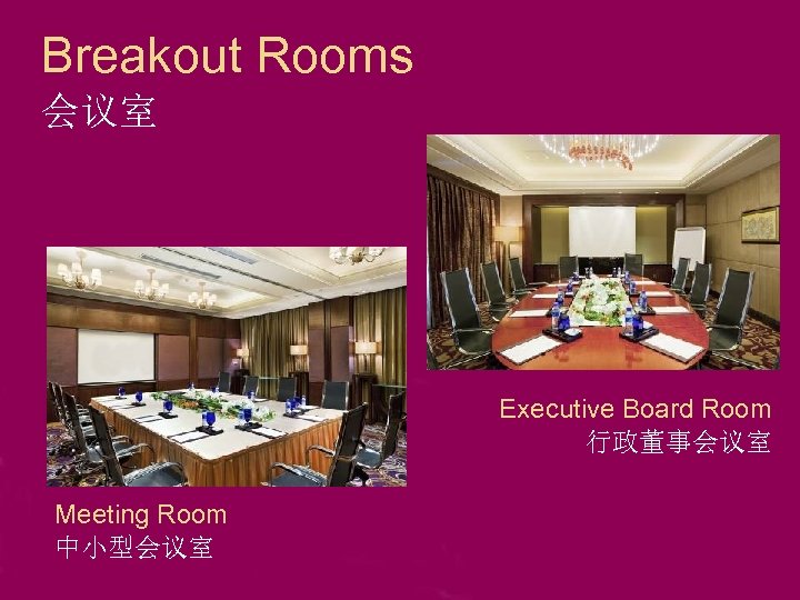 Breakout Rooms 会议室 Executive Board Room 行政董事会议室 Meeting Room 中小型会议室 