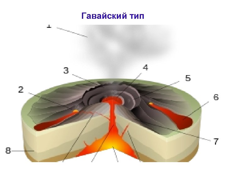 Гавайский тип 