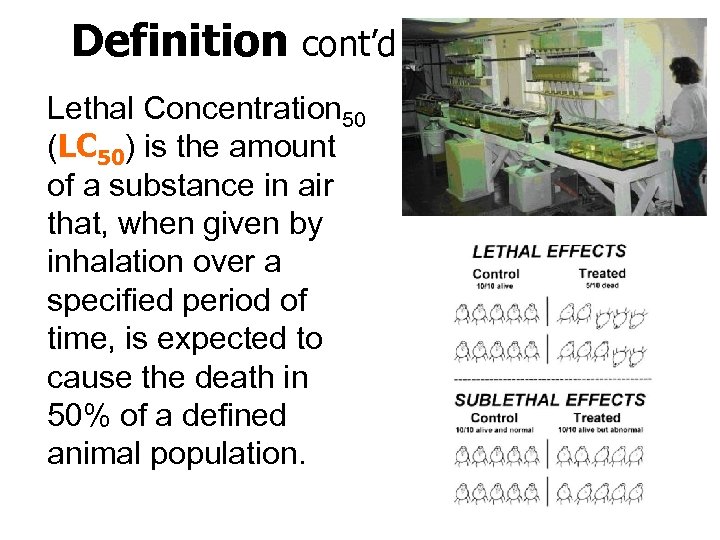Definition cont’d Lethal Concentration 50 (LC 50) is the amount of a substance in