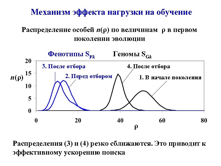 Механизм эффекта нагрузки на обучение Распределение особей n(ρ) по величинам ρ в первом поколении
